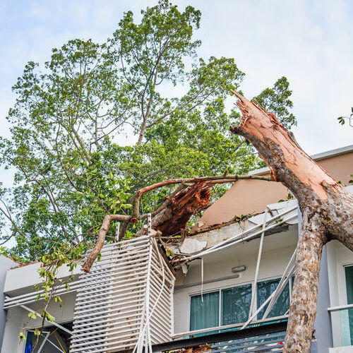 A roof needs emergency roofing.